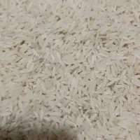 ۳۰ کیلوبرنج هاشمی درجه یک کیلویی ۳۵۰