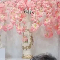 تقریبا ۱۲ شاخه گل خارجی با کیفیت شکوفه های گیلاس