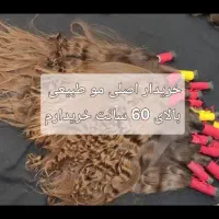 موهای زال و طلایی|آرایشی، بهداشتی، درمانی|ملایر, |دیوار