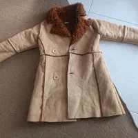 پالتو
