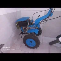 تیرزنی‌‌وهرس‌درختان