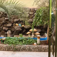 منزل-و-سوئیت-اجاره-ای