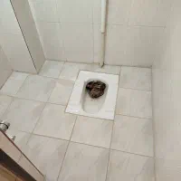 کاشی کاری سرامیک