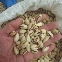 ۱۲۰۰|خوردنی و آشامیدنی|کویرات, |دیوار