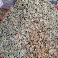 گلپر آسیاب شده بارامثال درجه یک|خوردنی و آشامیدنی|الیگودرز, |دیوار