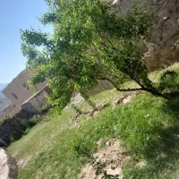 خانه روستایی با وام بانکی فروش یا معاوضه با خودرو|فروش خانه و ویلا|کوهمره, |دیوار