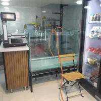 فروش یکجای کامل تجهیزات و یخچالها هایپر پروتئین|فروشگاه و مغازه|نکا, |دیوار