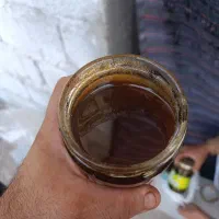 عسل کنار باضمانت تست
