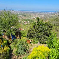 ۳قطعه زمین ۶۰۰متری کنار هم بر جاده،قطعه ای ۱۲۰۰|فروش زمین و ملک کلنگی|واجارگاه, |دیوار