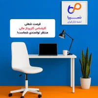 کارپرداز مالی