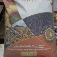 بذر تخمه افتاب گردان روغنی