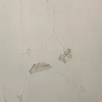 فروش و نصب کاغذ دیواری|خدمات پیشه و مهارت|رشت, حمیدیان|دیوار