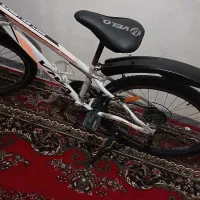 دوچرخه ۲۴ ویوا|دوچرخه، اسکیت، اسکوتر|محمدشهر, همایون ویلا|دیوار