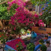آف گردان پذیرش هتل