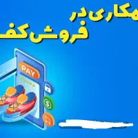 یک فروشنده و ادمین پیج اماده همکاری