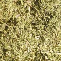 کاه لوبیا عروس