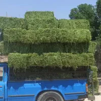 پرس یونجه سبوس گندم کاه گندم جو خوراک اسب|لوازم جانبی حیوانات|اصفهان, شهرک کوثر|دیوار
