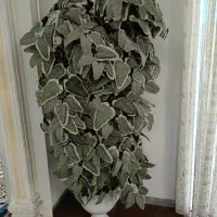 درخت مصنوعی زینتی