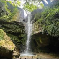 فروش زمین در لفور|فروش زمین و ملک کلنگی|آلاشت, |دیوار