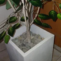 درختچه دست ساز|گل و گیاه طبیعی|تهران, سنگلج (شاپور)|دیوار
