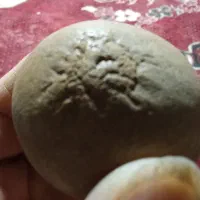 نشان حیواهات وانسانها
