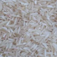 فروش برنج فجر آبیاری شده با آب چشمه|خوردنی و آشامیدنی|نوده خاندوز, |دیوار