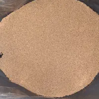 خوراک یا غذای ماهی گوشتخوار و گیاه خوار
