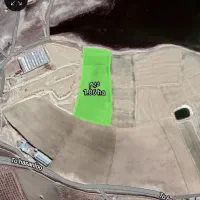 فروش دیم روستای طالقان