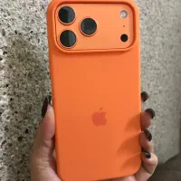 17پرومکس