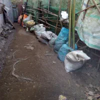 سبوس برنج فل کود مرغی|لوازم جانبی حیوانات|آستانه اشرفیه, |دیوار