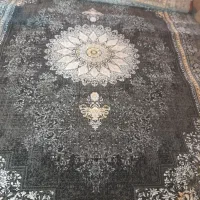 قالی بابهترین قیمت به صورت نقداقساط|فرش|مرودشت, ابوذر جنوبی|دیوار