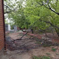 باغ باغچه زمین ۵۰۰ متری شهرکی ویلایی|فروش زمین و ملک کلنگی|رباط‌کریم, منجیل آباد|دیوار