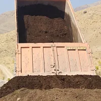 پخش  کود حیوانی  باغبانی
