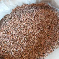 پروتئینه پرندگان و ماهیان