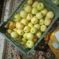 سیب پادنا ارگانیک|خوردنی و آشامیدنی|شیراز, شهرک فرزانگان|دیوار