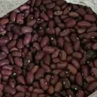 لوبیا چیتی وقرمز