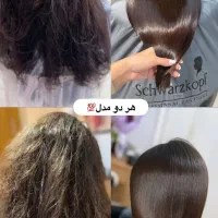 کراتین،اموزش بین المللی و مدل کراتین با ارائه مدرک|خدمات آرایشگری و زیبایی|رشت, کاکتوس|دیوار