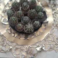 حراج|حراج|مشهد, حجاب (شهرک غرب)|دیوار
