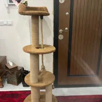 وسیله بازی گربه