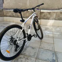 دوچرخه 29 فونیکس|دوچرخه، اسکیت، اسکوتر|سنندج, |دیوار