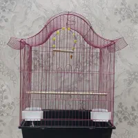 قفس طرح فانتزی با رنگ بندی متنوع