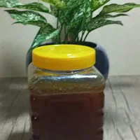 عسل گشنیز اورگانیک. عسل گون اورگانیک ۱دهم|خوردنی و آشامیدنی|نهاوند, |دیوار