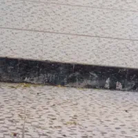 جویای‌کار..نما کارساختمان