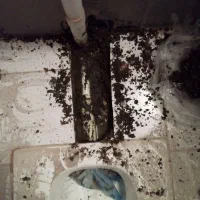 لوله کشی آب سردگرم جوشکاری لوله پلی اتیلن|خدمات پیشه و مهارت|مشهد, کلاهدوز|دیوار