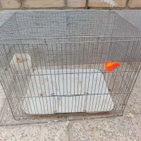 قفس پرنده