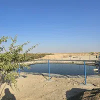 فروش ۴ هکتار