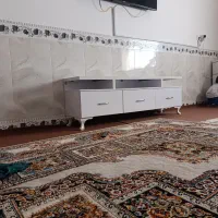 زیر تلوزیونی