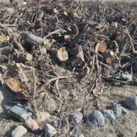 خریدانواع چوپ خریداریم