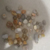 مهره سلیمانی