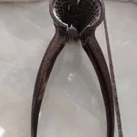 گردو شکن